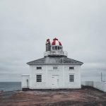 pexels-photo-30209995