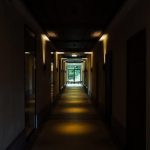 pexels-photo-32560955