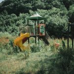 pexels-photo-32801500