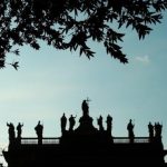 pexels-photo-30748535